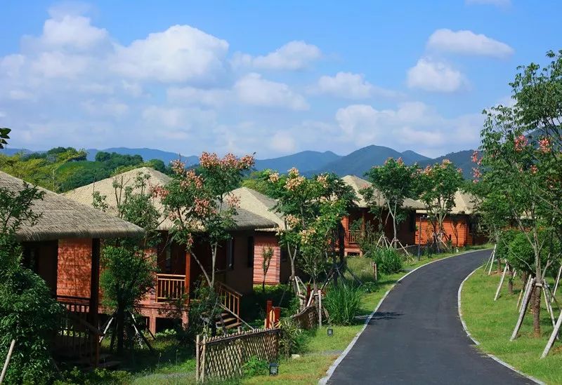 湖州长兴开元芳草地乡村酒店 竹林双床房套餐